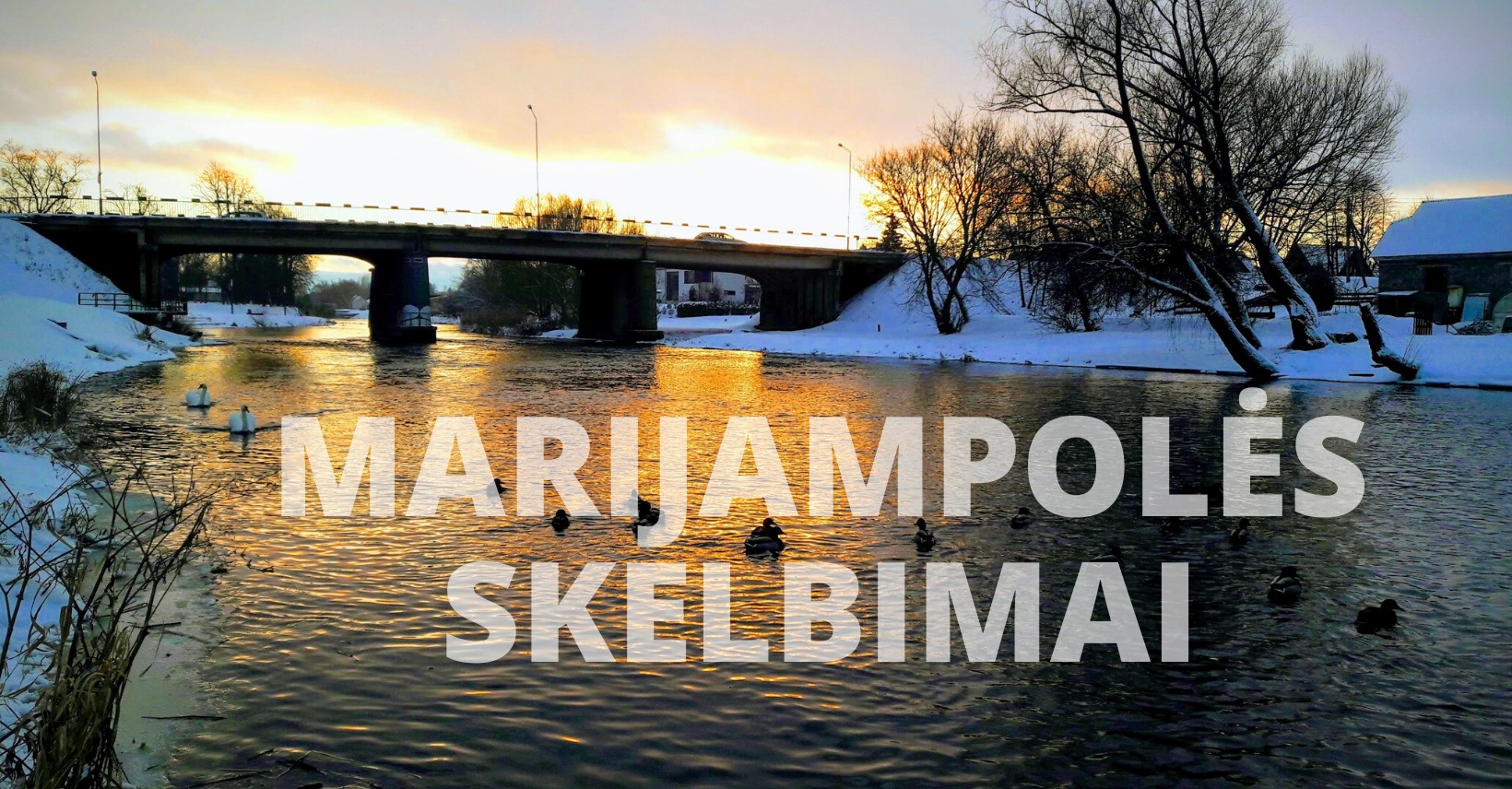 Marijampolės Skelbimai | ar kam yra teke reikalu tureti su vaida ...