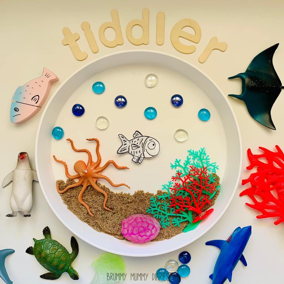 🐟 Tiddler 🐟 ⁣ ⁣ For World Ocean Day... - Brummy Mummy Diaries | Facebook