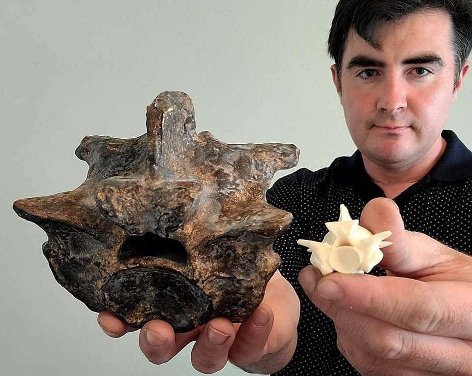 EvoBIO - I'm holding the fossil vertebra of Titanoboa... | Facebook