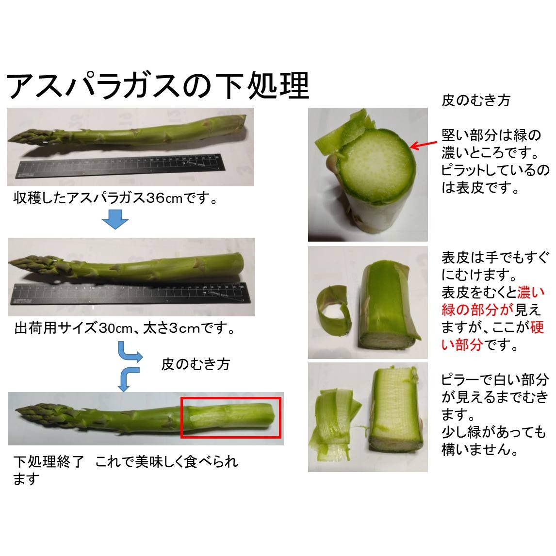 アスパラ ガス 下 処理