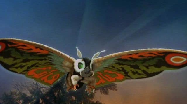 Project MOTH