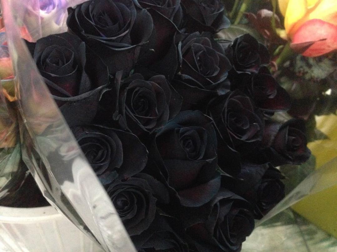 MELNĀ ROZE