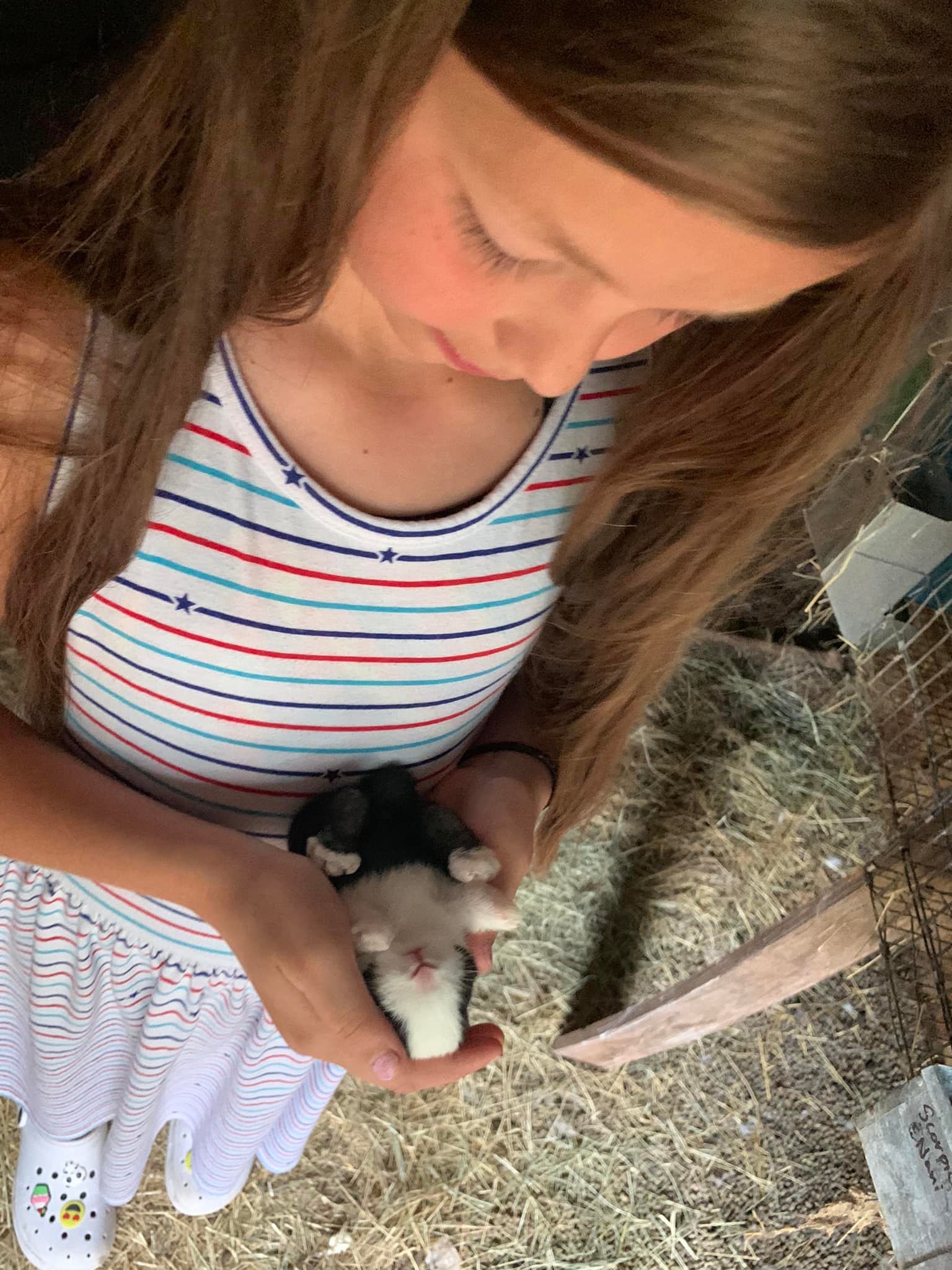 Ruthie’s Dutch Rabbitry
