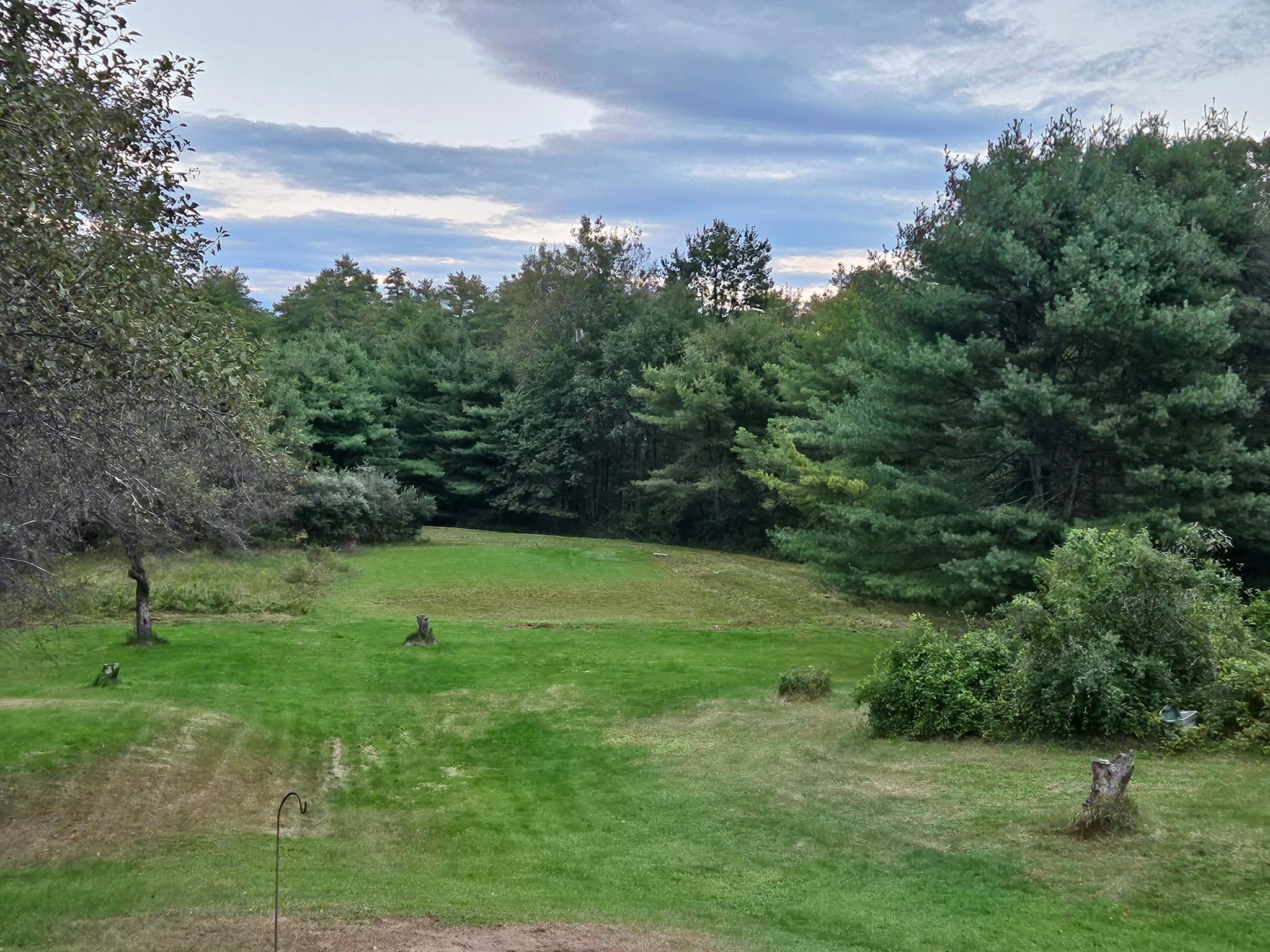 The old riding arena is gone, the... - Notta Lotta Farm