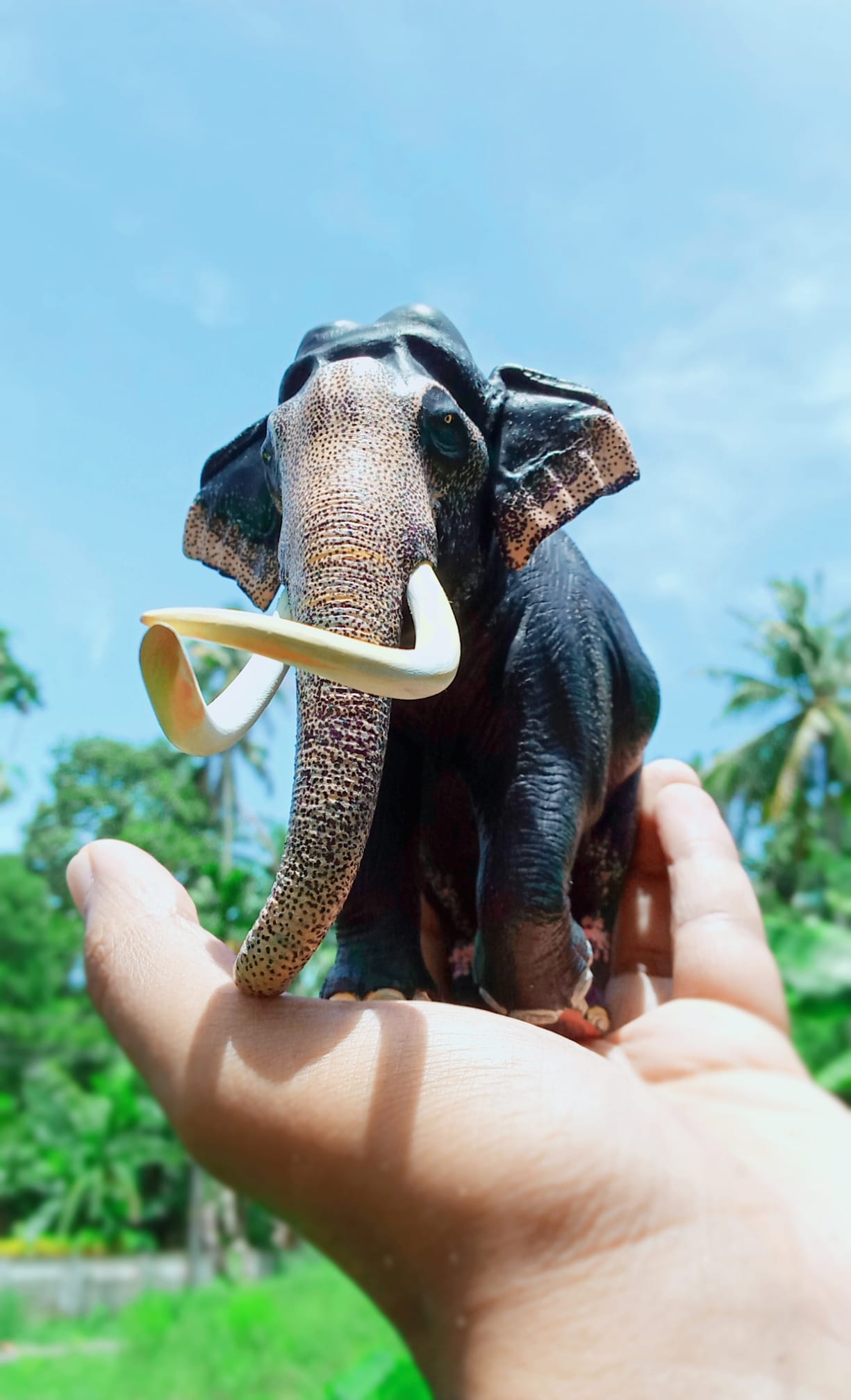 Aanamaker - The Great Srilankan in the Hand..🐘 ️