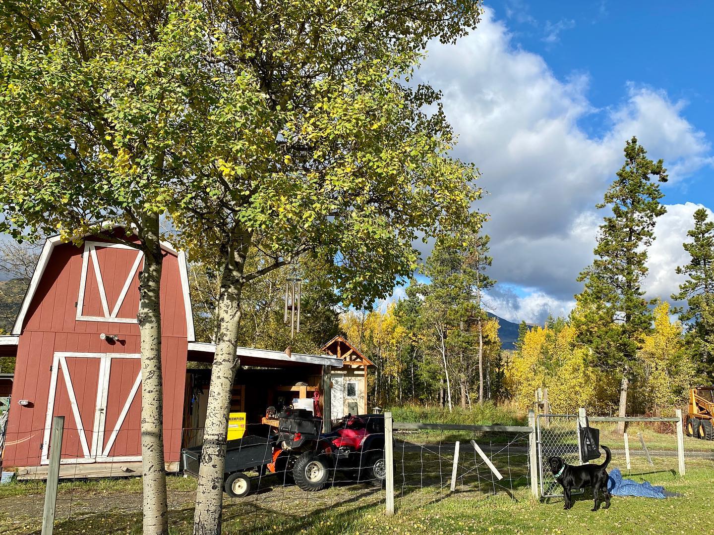 North Star Ranch | Whitehorse YT