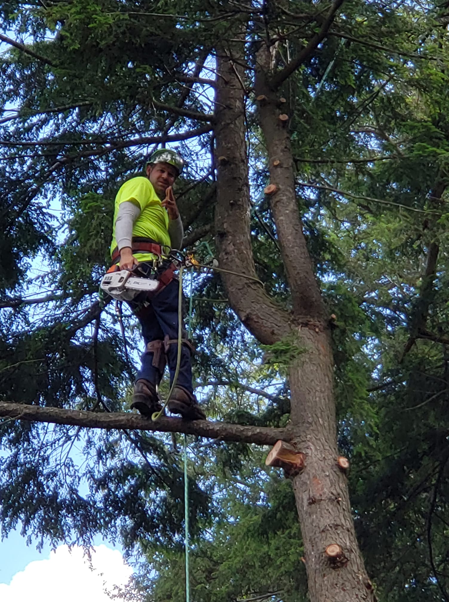 Pine Ridge Tree Techs