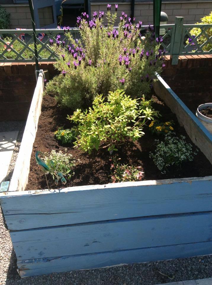 Hafod Care 🌺 Ty Penrhos Care Home Caerphilly gardening...