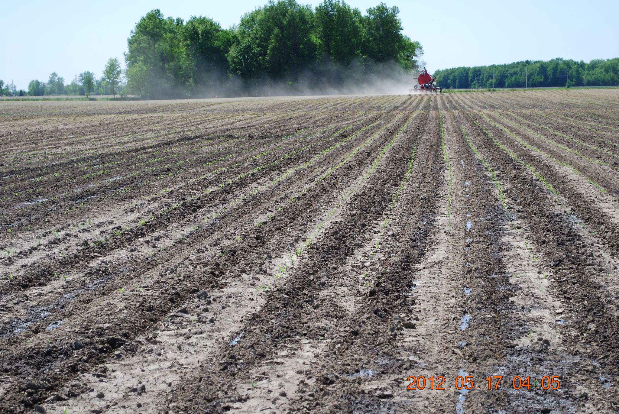 Silage harvest is just about wrapped up in northwest Ohio. Many of ...
