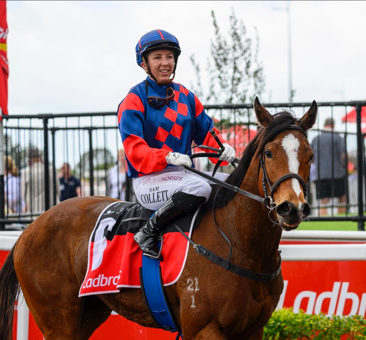 🔥🐎 WINNERS ARE... - Dracarys - Australian Thoroughbred Sire