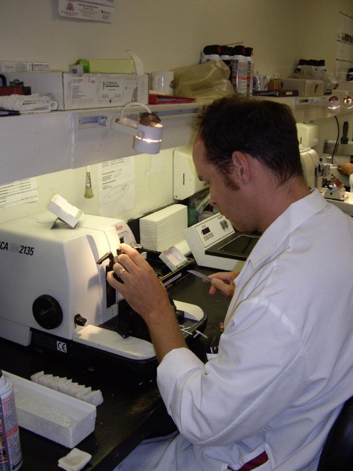 Borsting Laboratories, Inc. | Novato CA