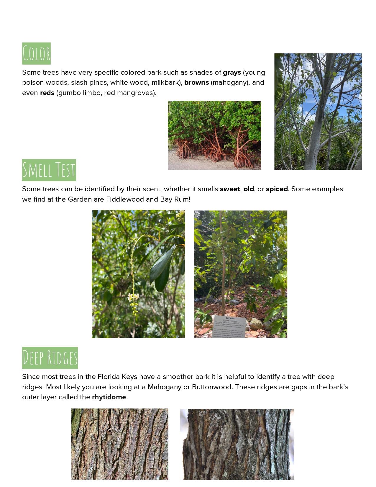 Key West... - Key West Tropical Forest & Botanical Garden