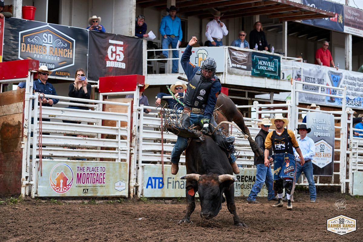 BULL RIDING - a story ….... - Daines Ranch Pro Rodeo