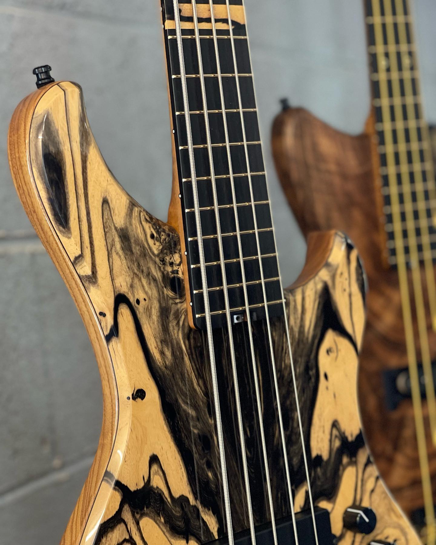 1978 Camel Tour bass with rare black finish and high-end specs