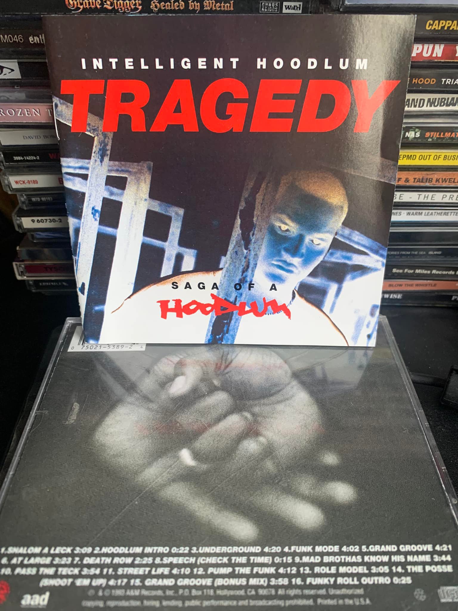 Intelligent Hoodlum's Tragedy: Saga of a Hoodlum, a legendary NY