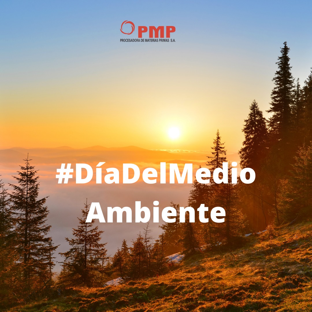 pmp.sa - Hoy es el dia del medio ambiente. Hacemos un... | Facebook
