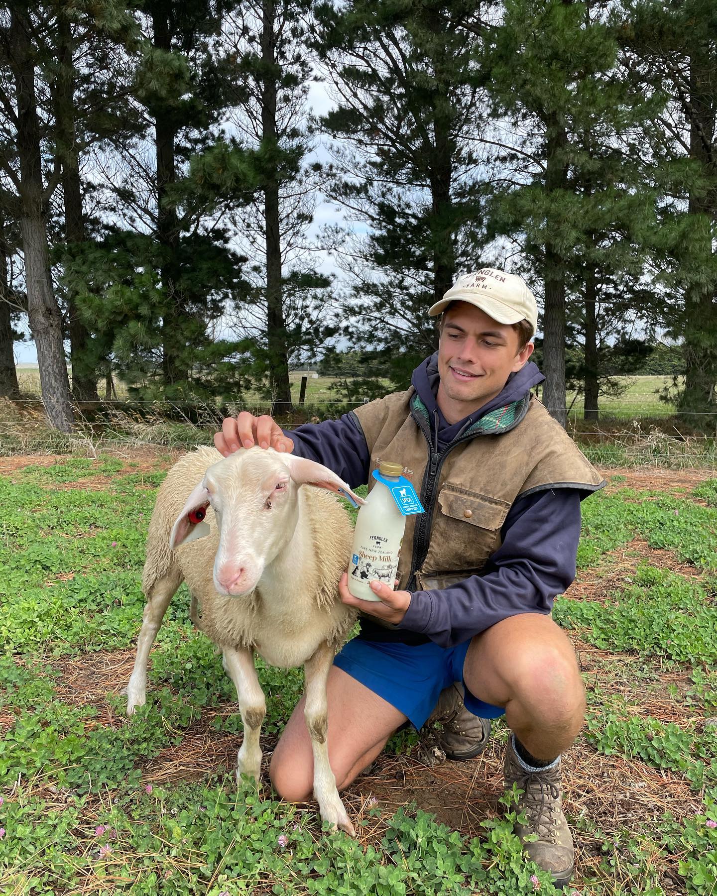 Fernglen Farm - 📣 New Stockists Shoutout! 📣 We are... | Facebook