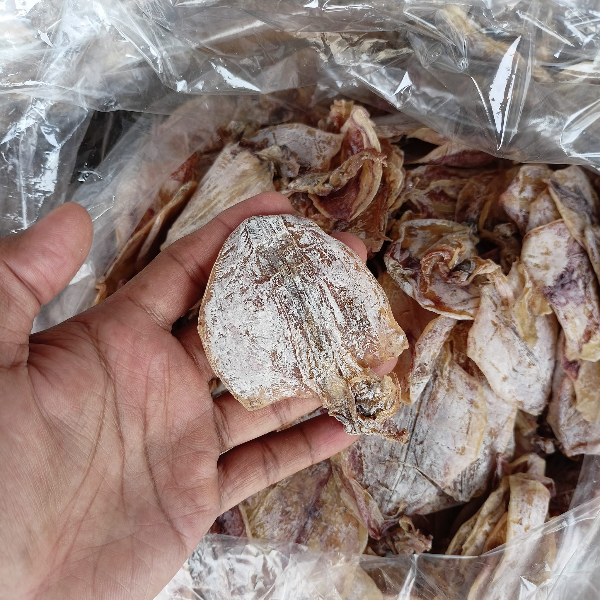 Pangasinan Dried Fish Supplier | Sual