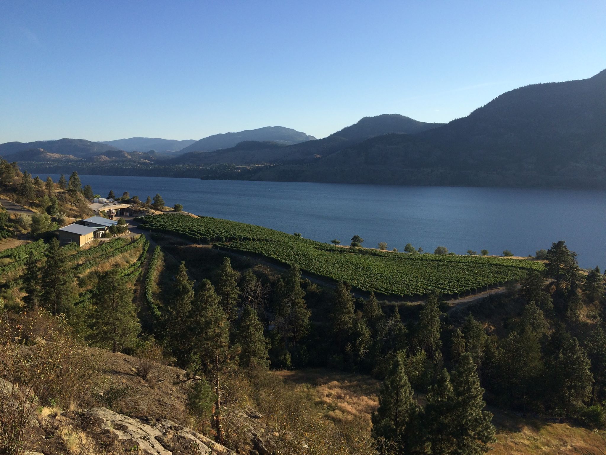 Foxtrot Winery - A new chapter is taking shape. 🍷 As the... | Facebook