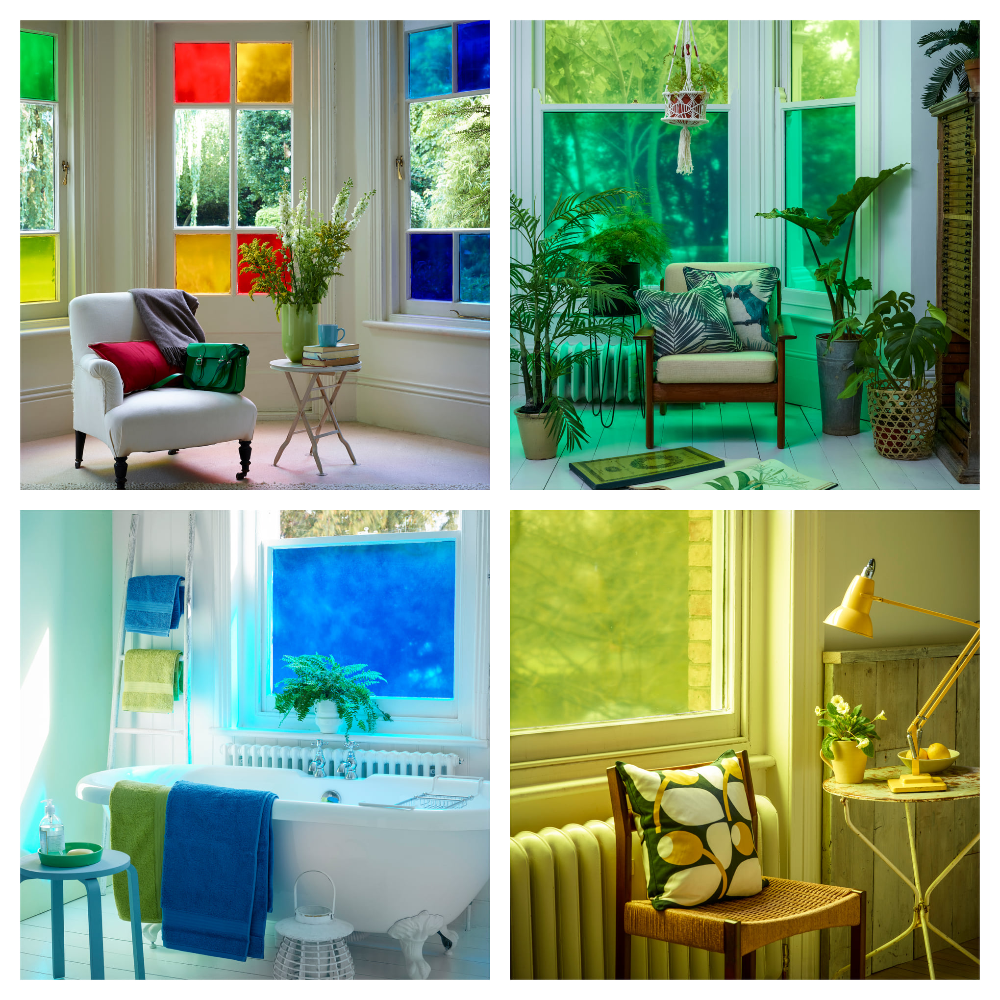 🌈👌 | RAINBOW RANGE | Give your... - The Window Film Company