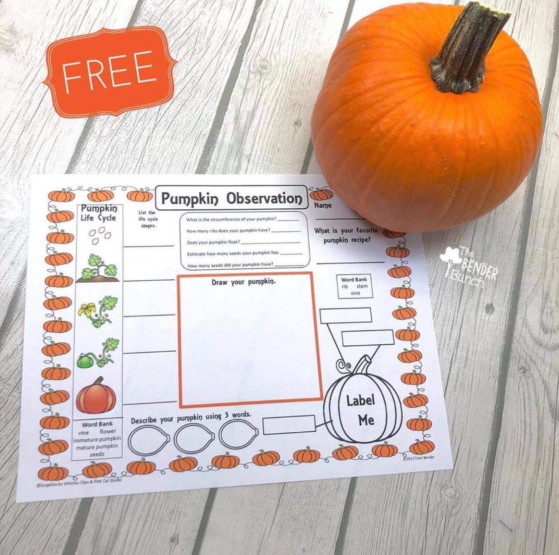 ⁣It’s pumpkin season and this pumpkin... - The Bender Bunch