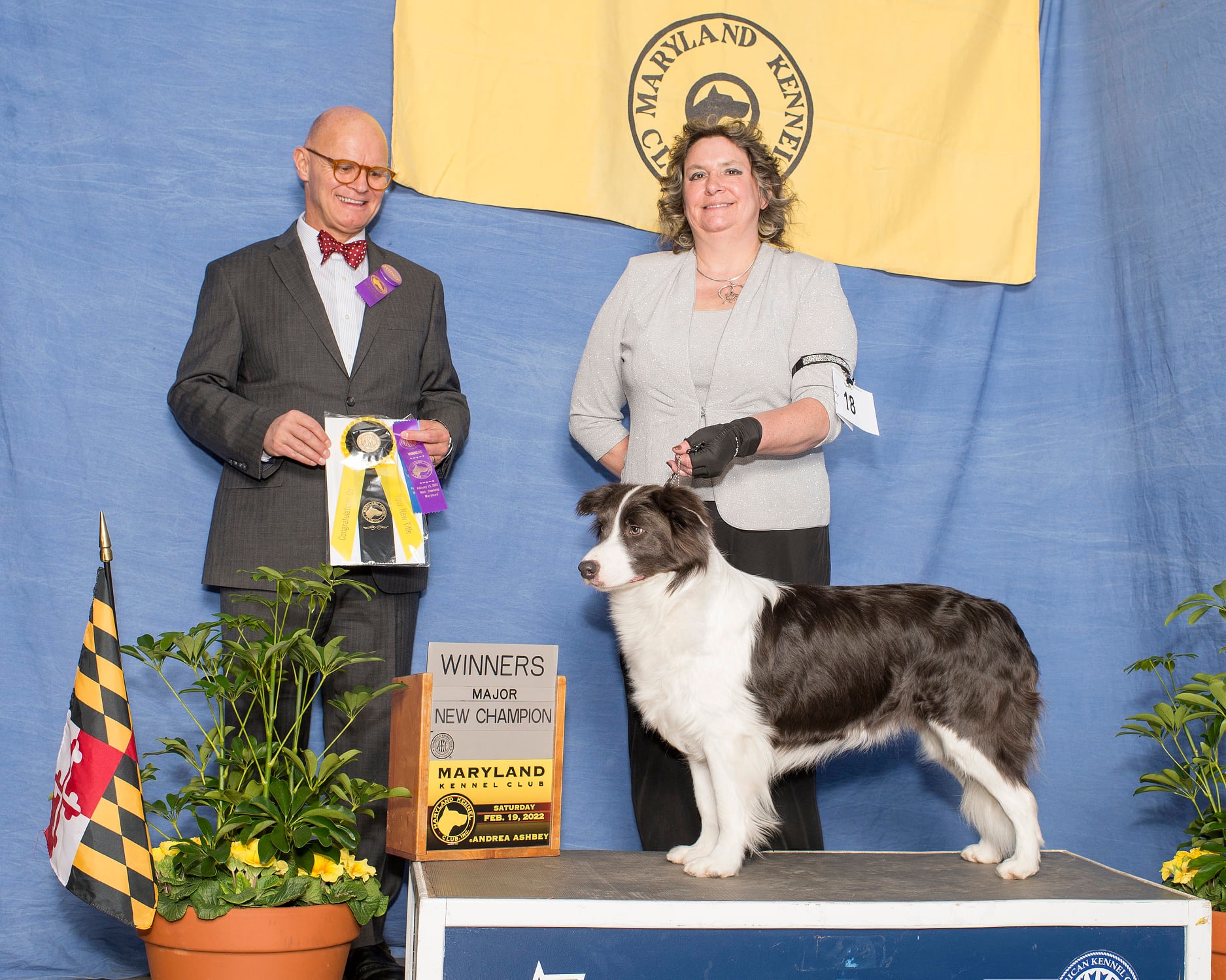 Miss Wiccan now known as CH. H... - The Hounds of Rabbit Hill | Facebook