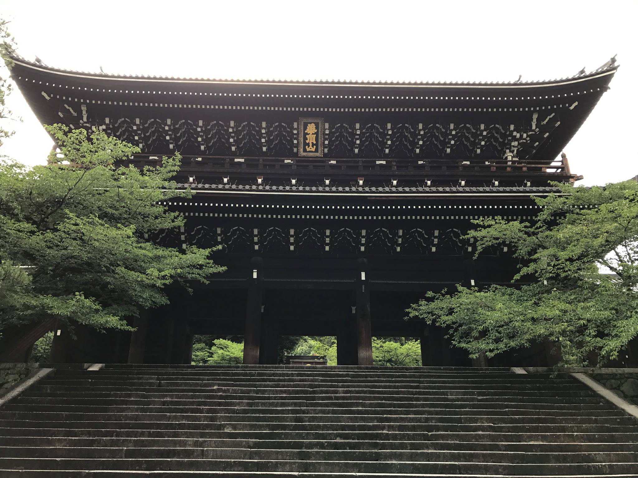 梅染 UME SOME 古代染色梅染友禅作家 山本晃 & 現代アート作家 桑山真弓 extibition