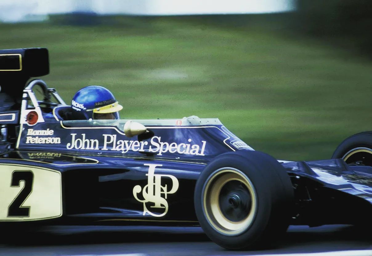 Hello everyone! My latest build: Ronnie Peterson Lotus 78.