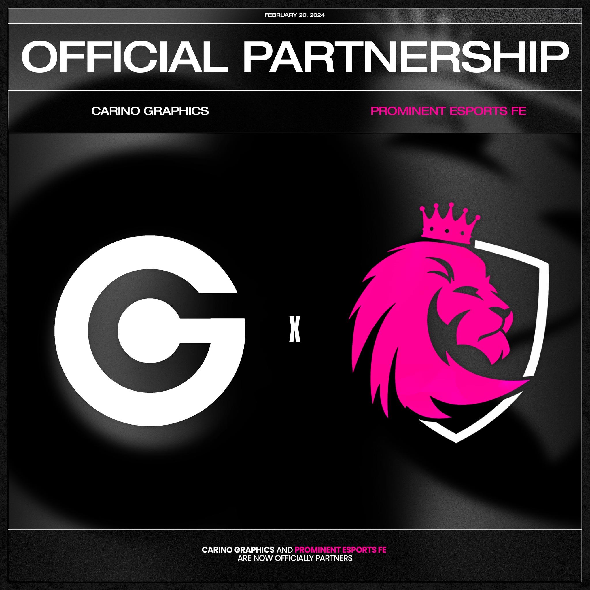 Carino Graphics