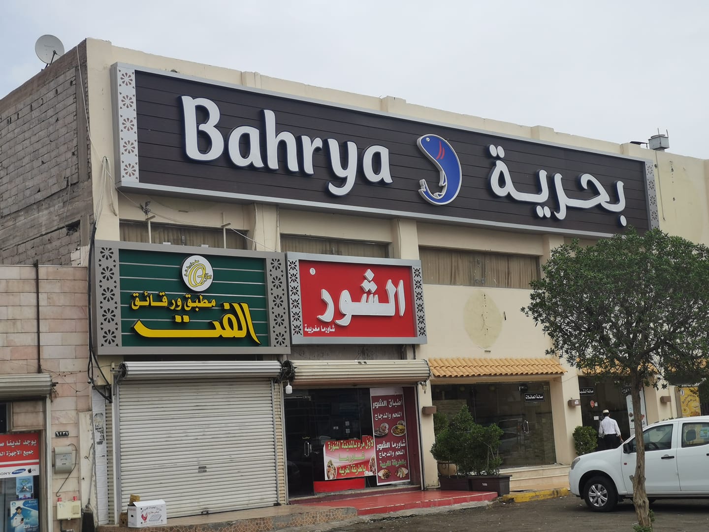 احمر خدود مزمن مركزية المطاعم البحرية بالمدينة المنورة الحزام Force Loc Com