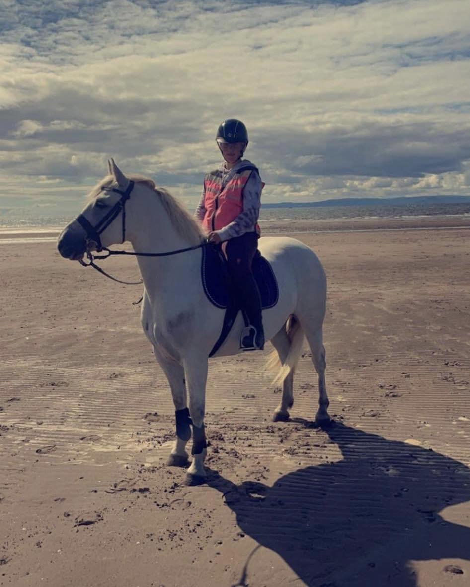 🦄👀🆕🏡 S O L D SAFE &... - Ayrshire Equitation Centre
