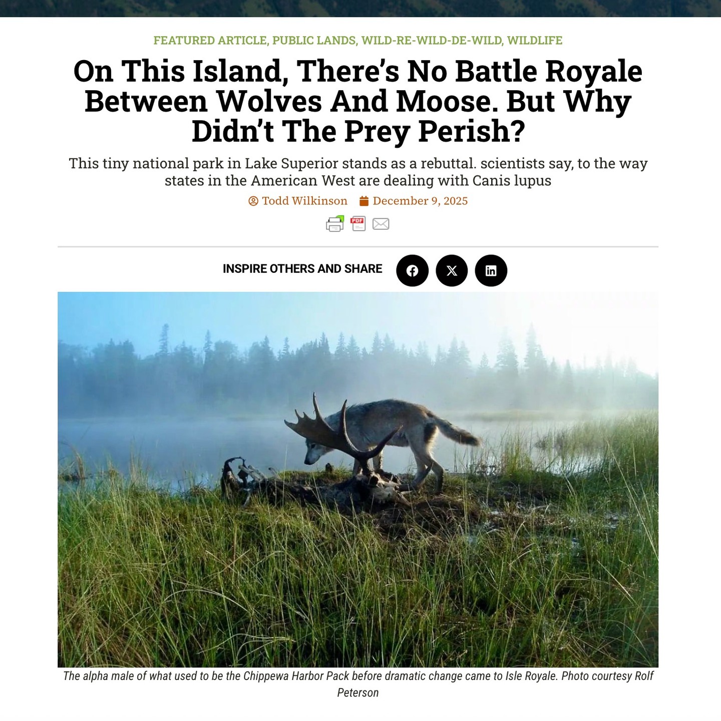 Todd - Put a major carnivore species—wolves—on an island with a single ...