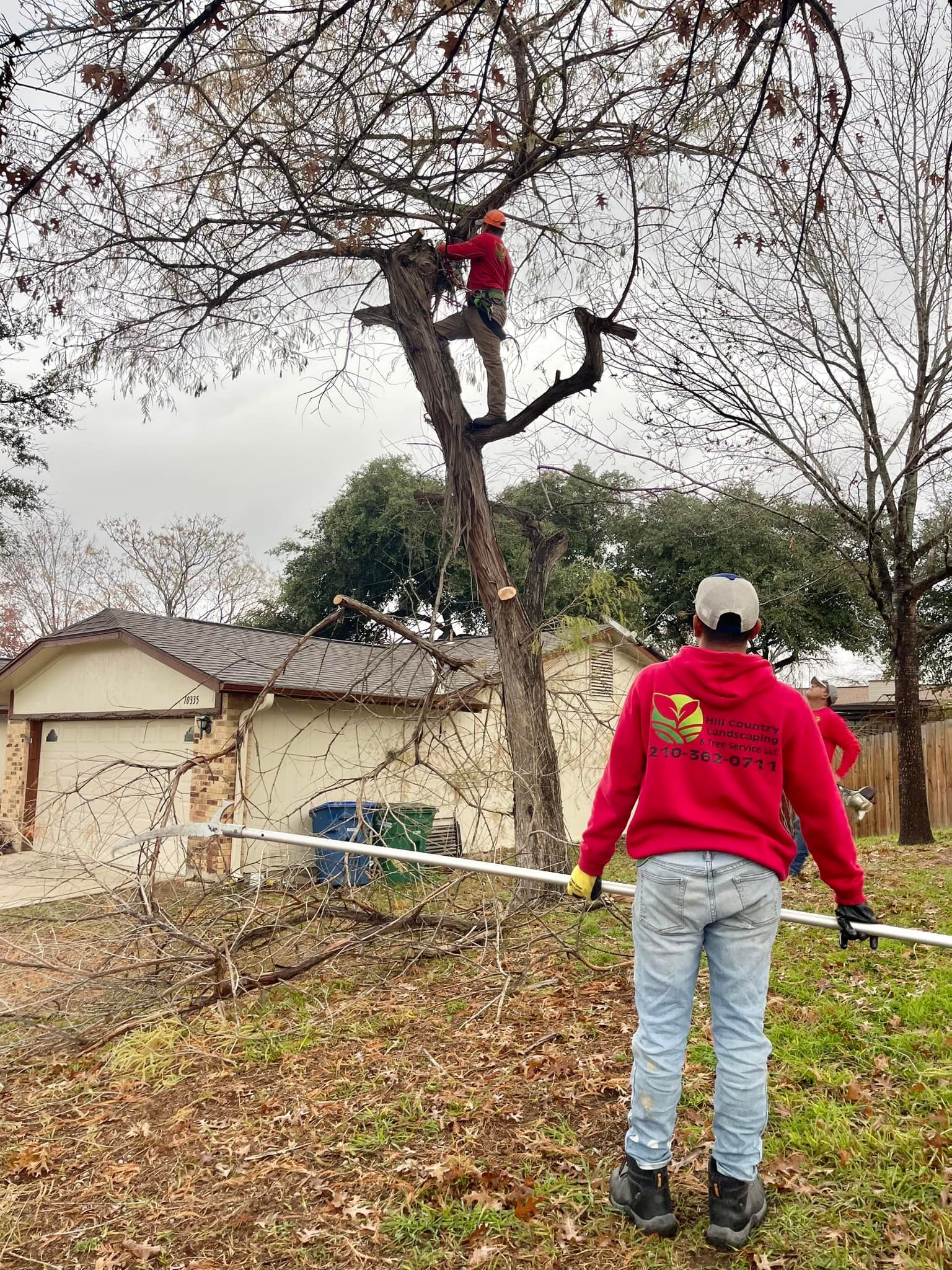 Happy Monday... - Hill Country Landscaping & Tree Service LLC | Facebook