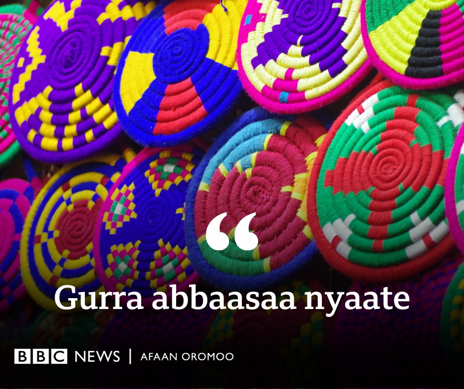 🌴 Yooyyaa! Har'a jechamaan... - BBC News Afaan Oromoo