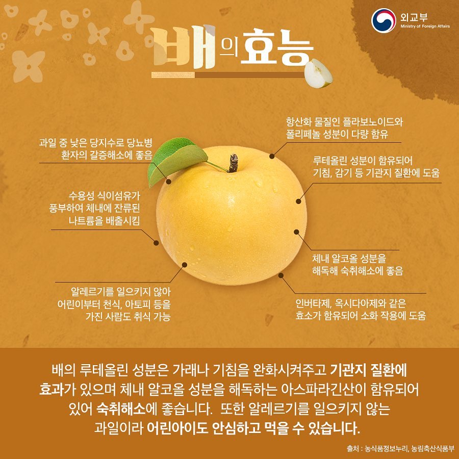 가을 제철 과일 배를 활용한 다양한 요리를 알아보세요! #한국 #한식 #배 #배숙 #배잼 #배김치... - 주프랑크푸르트총영사관 ...