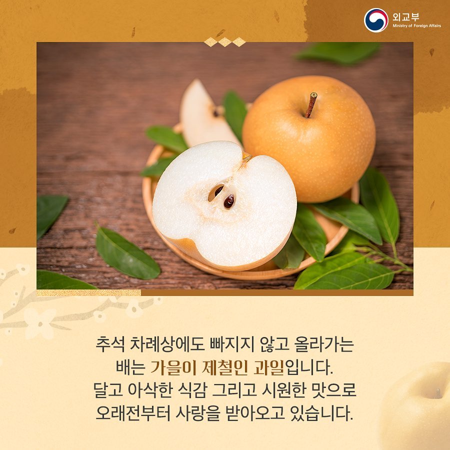 가을 제철 과일 배를 활용한 다양한 요리를 알아보세요! #한국 #한식 #배 #배숙 #배잼 #배김치... - 주프랑크푸르트총영사관 ...