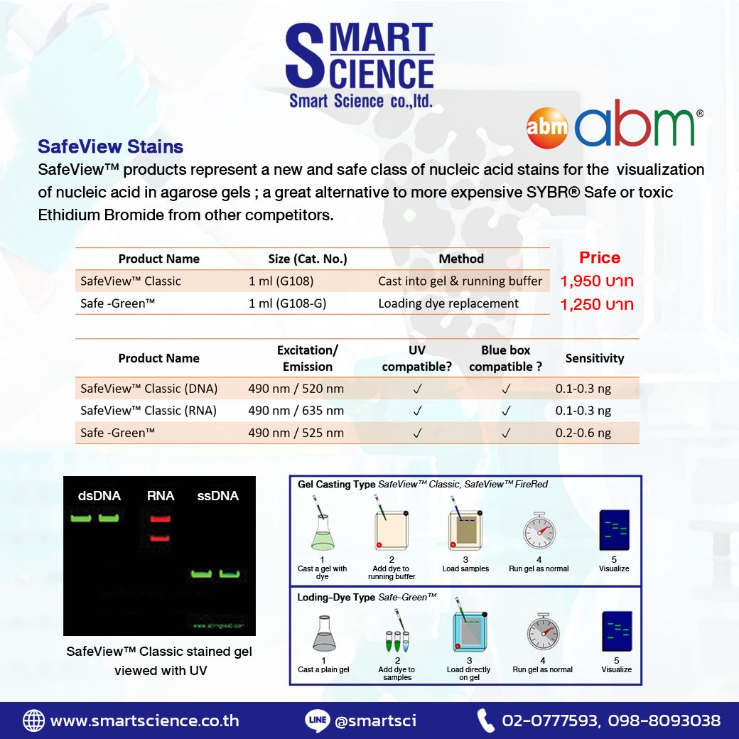 Smart - SafeView Stain , a safe class of nucleic acid stains for the ...