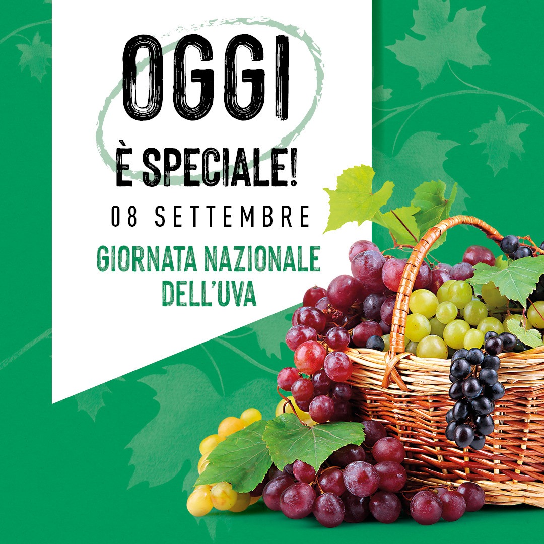 Conad Vada Via per Rosignano - L’autunno è alle porte e lei è la ...