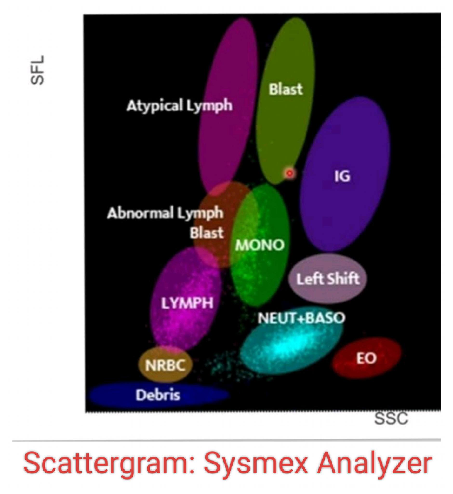 Hematology | 💐 Scattergrams in Hematology 💐 | Facebook