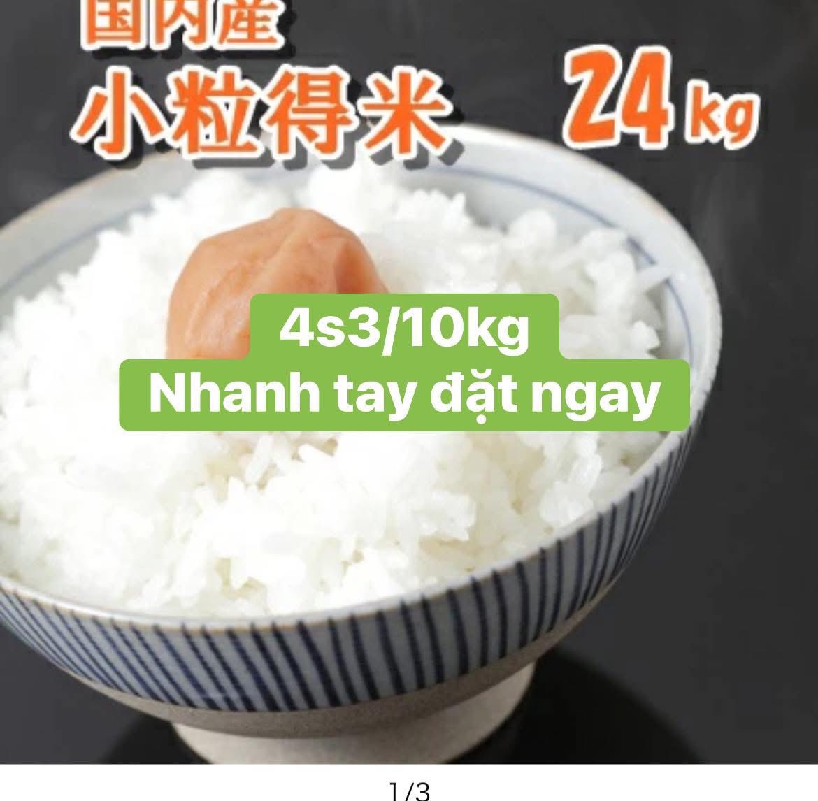 GẠO RẺ HIMAWARI 24KG 8*3 Gạo Himawari 8kg giá rẻ tại Yamada Nagoya