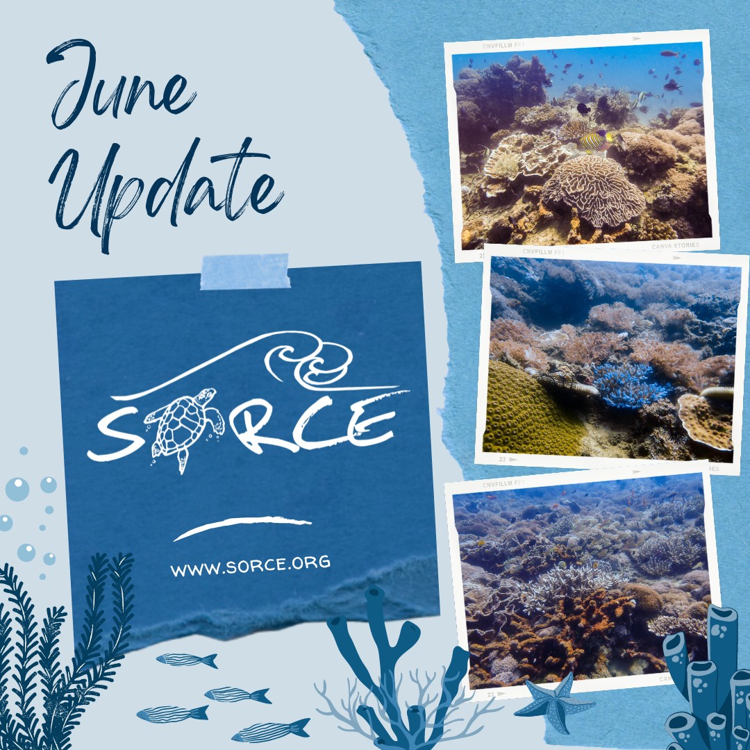 SORCE - 🎉 June SORCE Update!! 🎉👇 The visibility has...
