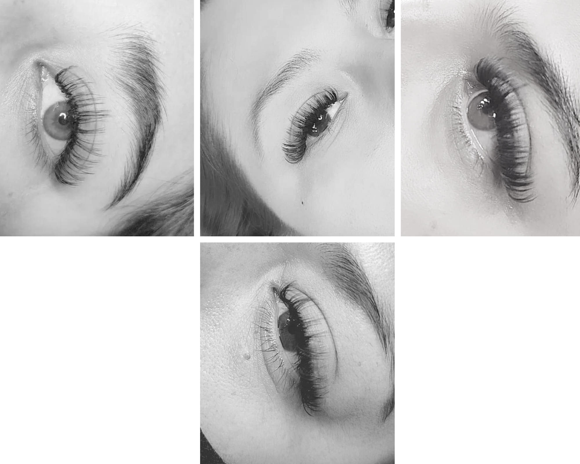 Sulema Lashes | Torreón