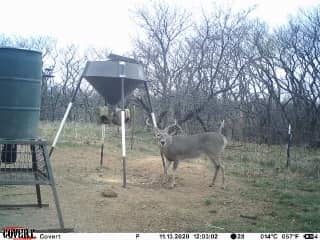 Buck Ration | McKinney TX