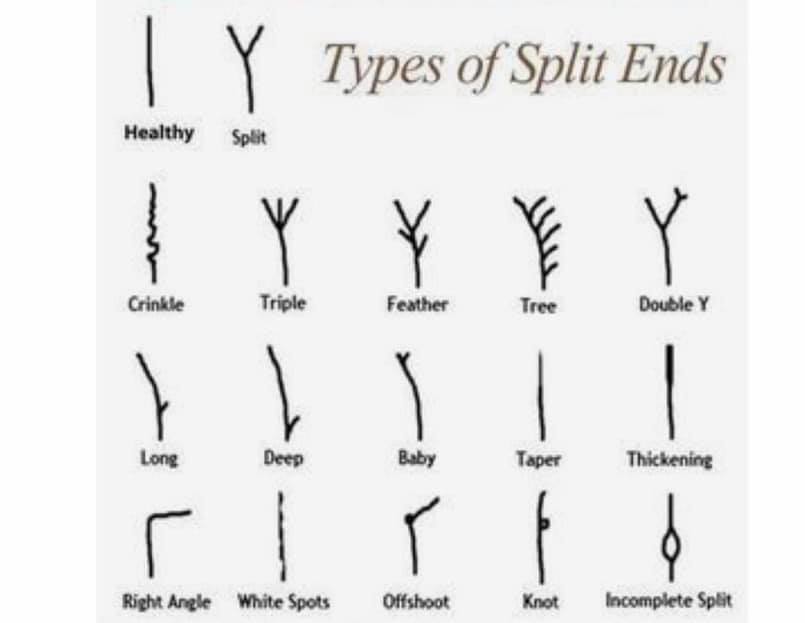 Hair By Melina - Did you know that split ends are the...