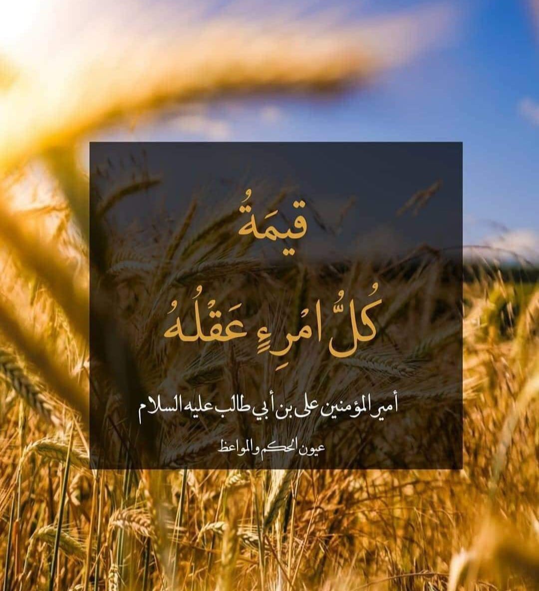 رعد سعدون خريبط