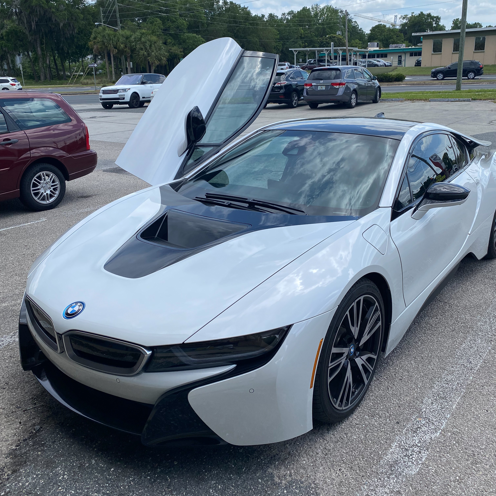 Screaming Wraps | Ocala FL