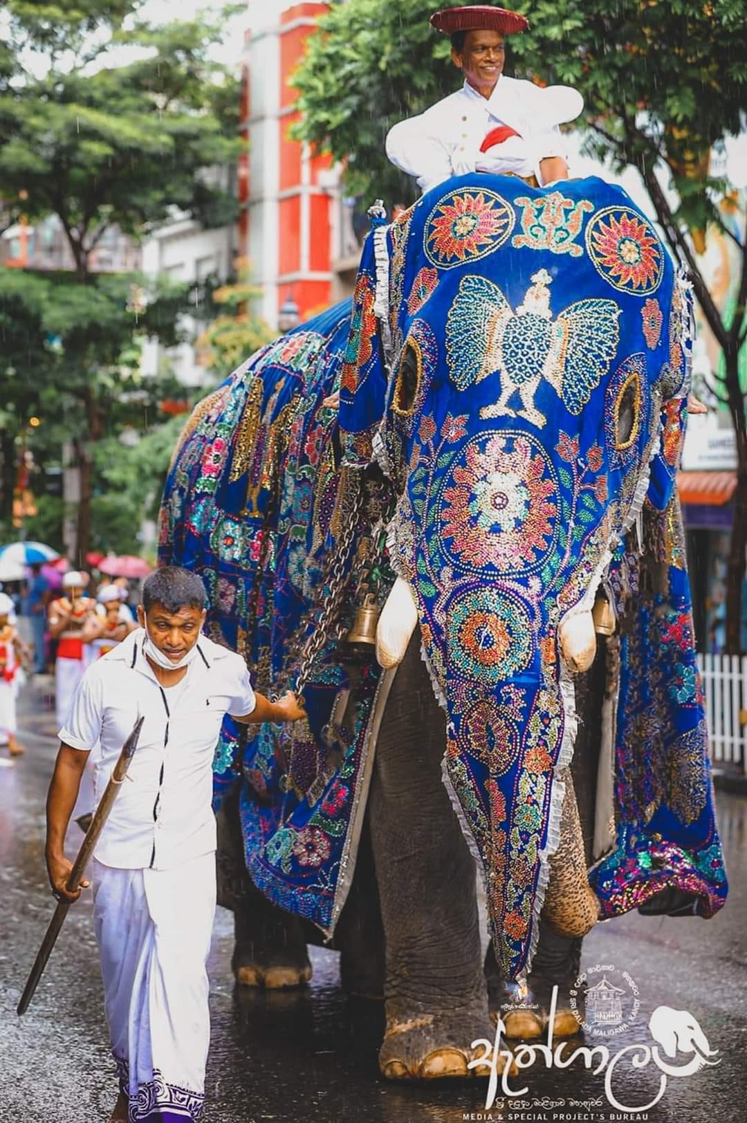 S r i l a n s - Tusker | පුළතිසි රාජා | Pulathisi Raja 🐘 💕...