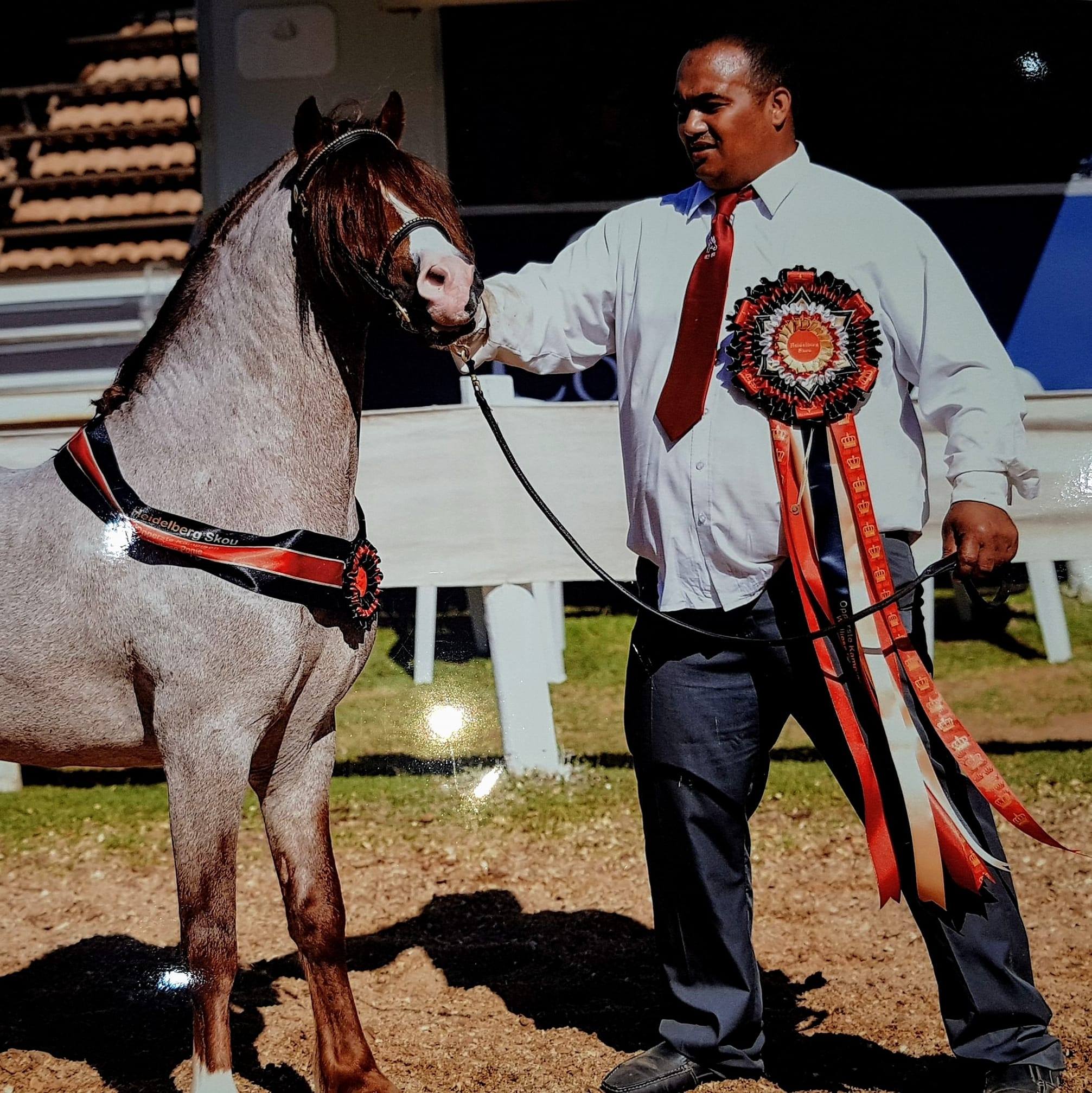 Magogong Grand Champion 5 Gaited | Ian Barrie | Facebook