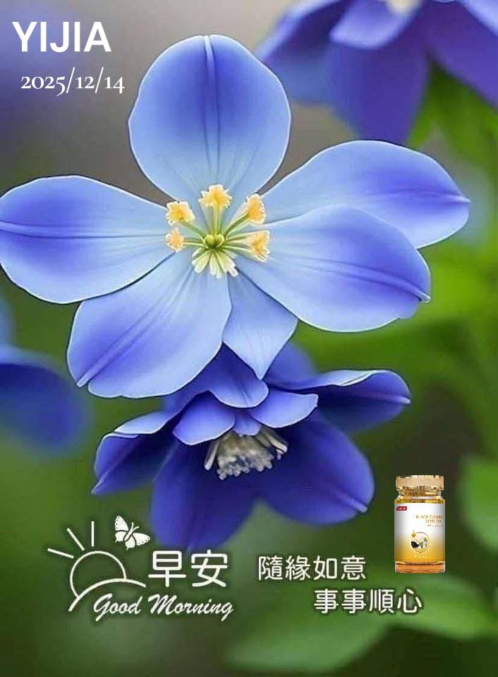 曉敏 - 大家早晨 ！🌞 🌹隨緣如意，事事順心 👉不是急著被認可， 而是先允許自己慢慢變好。 有人看懂，有人離開， 都很正常。 當我不再用力 ...