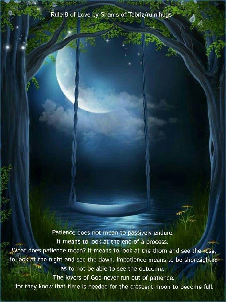 Rumi Loves - Patience does not mean to passively endure....